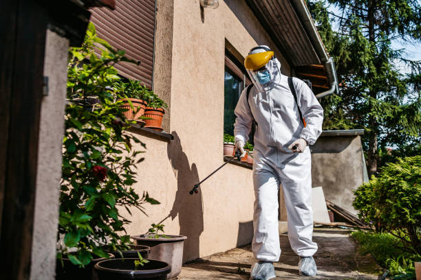 Best Local Pest Control Services  in Leeds, AL