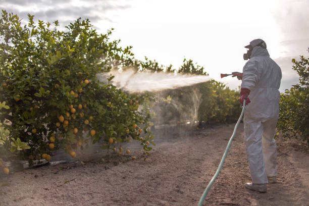 Flea Control Services in Leeds, AL