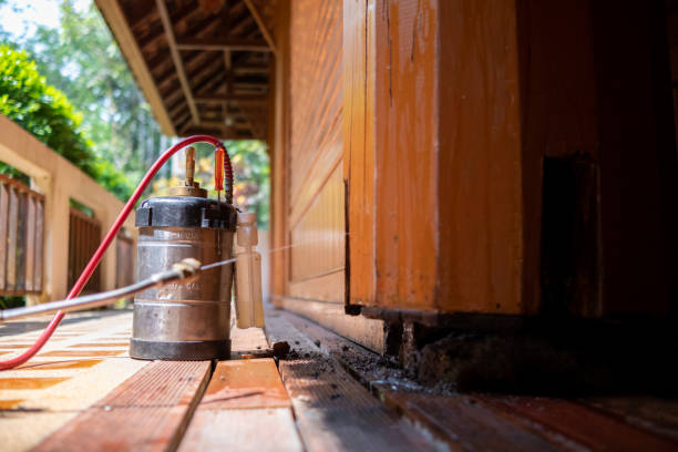 Best Best Pest Control Companies  in Leeds, AL