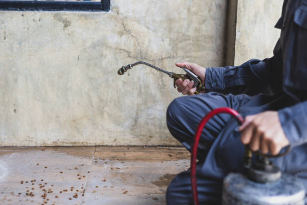 Best Pest Control Near Me  in Leeds, AL